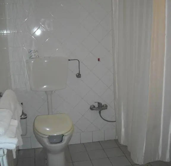 身障者適用スタンダードルーム, Albergo La Posta Arezzo