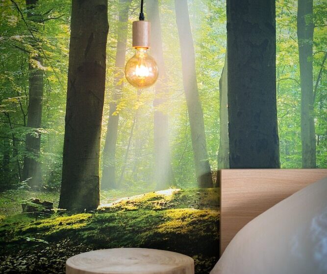 جناح ديلوكس, B&b Antares