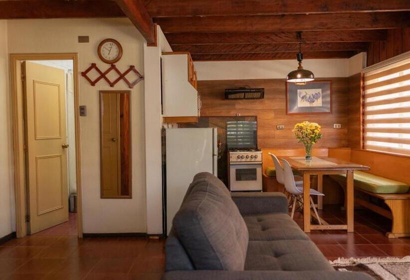 شقة غرفتين, Di Torlaschi