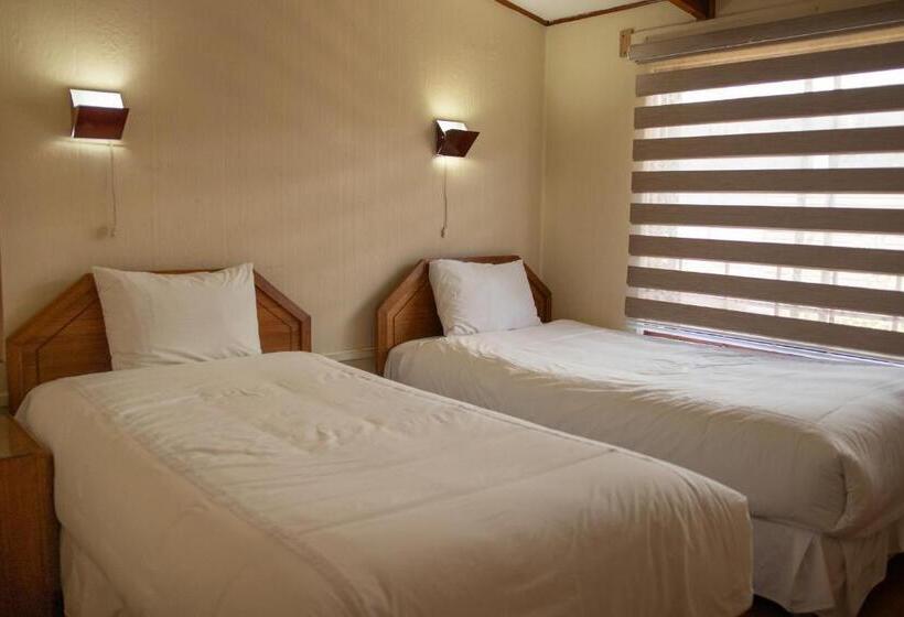 شقة غرفتين, Di Torlaschi