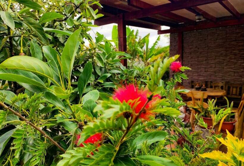 חדר סטנדרט מיטה זוגית, Las Mercedes Airport Quito