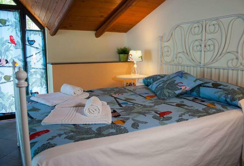 غرفة قياسية, Le Coccole