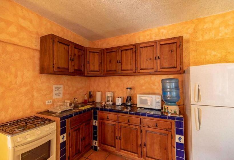 جناح جونيور, Posada Luna Sol