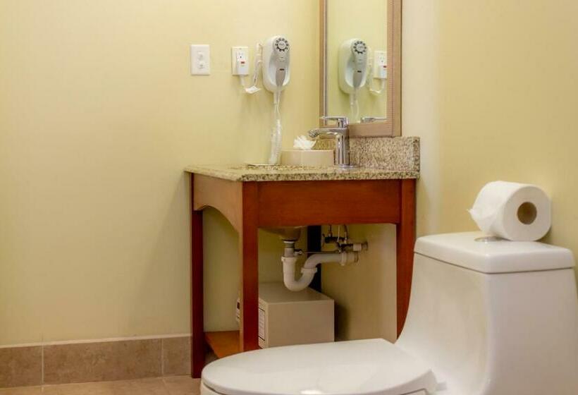 חדר סופריור, Rolson