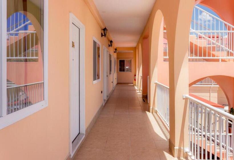 חדר סופריור, Rolson