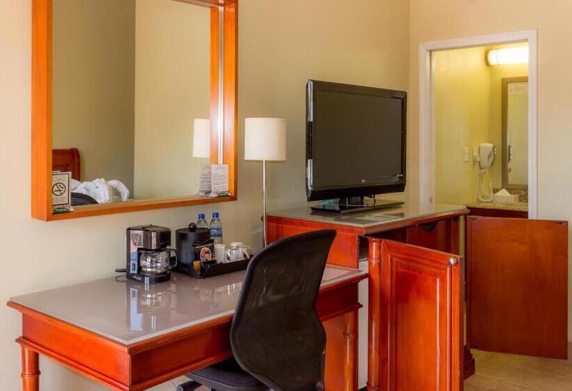 חדר סופריור, Rolson