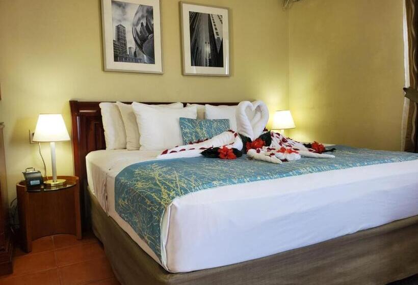 חדר סטנדרט עם מיטת קינג, Rolson