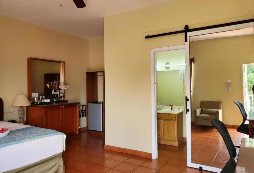 חדר סטנדרט עם מיטת קינג, Rolson