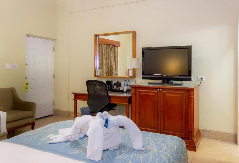 חדר סופריור, Rolson