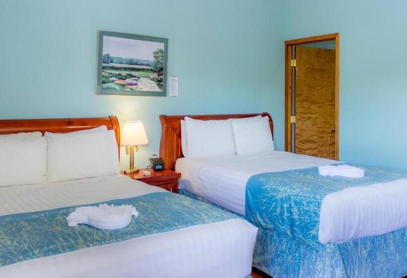 חדר סטנדרט נוף לבריכה, Rolson