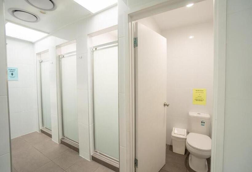 חדר סטנדרט חדר אמבטיה משותף, Somewhere To Stay Backpackers