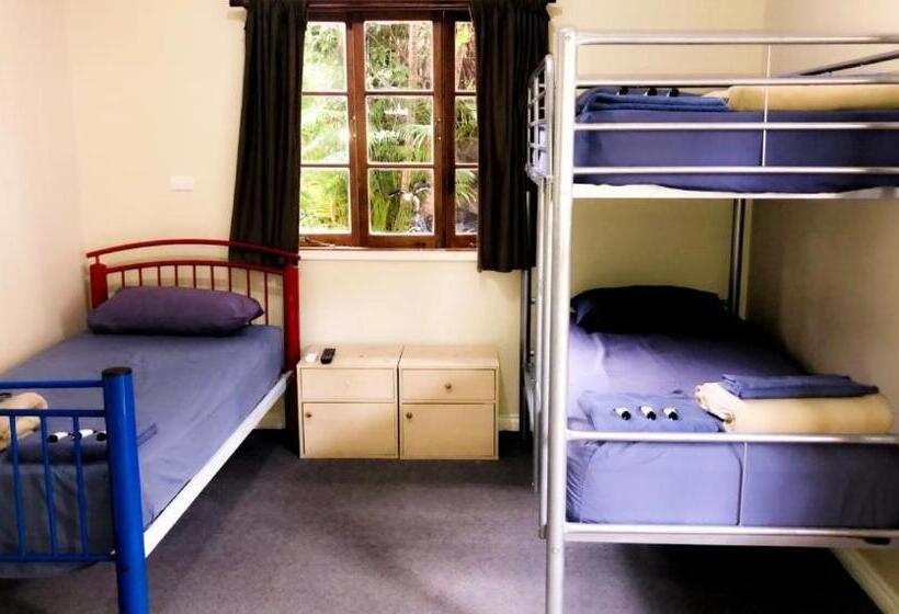 חדר דלוקס לשלושה, Somewhere To Stay Backpackers