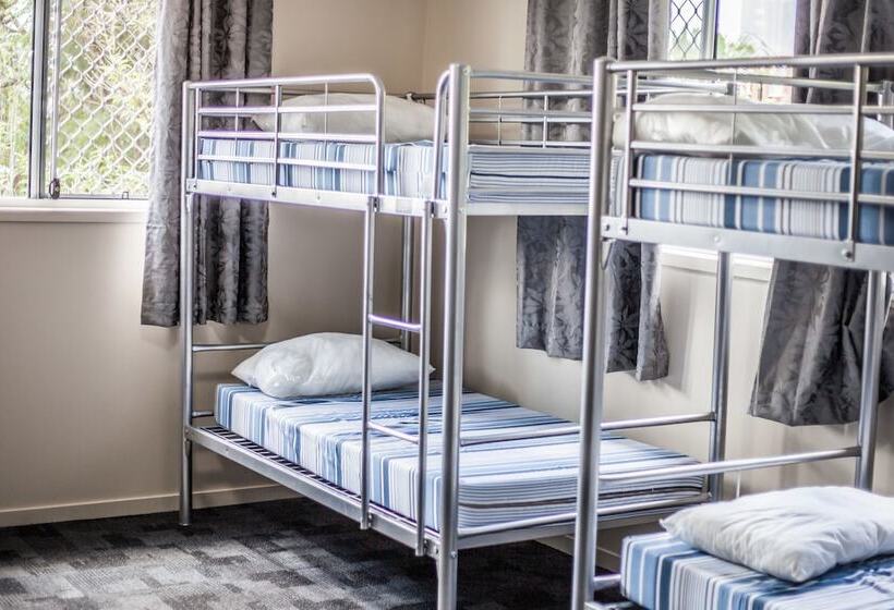 מיטה בחדר משותף, Somewhere To Stay Backpackers