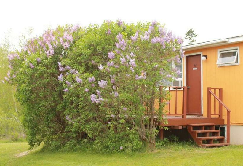 기본룸, Acadia Gateway Motel