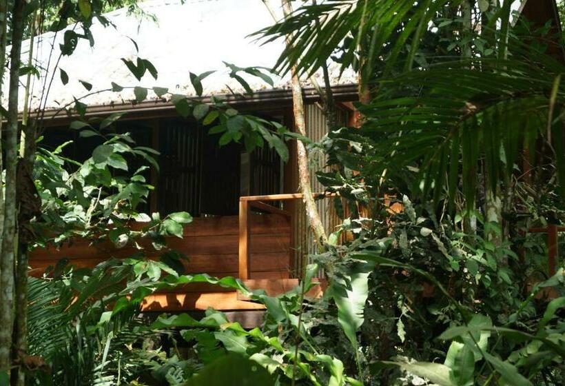 בקתה סופריור, Mar Verde Lodge