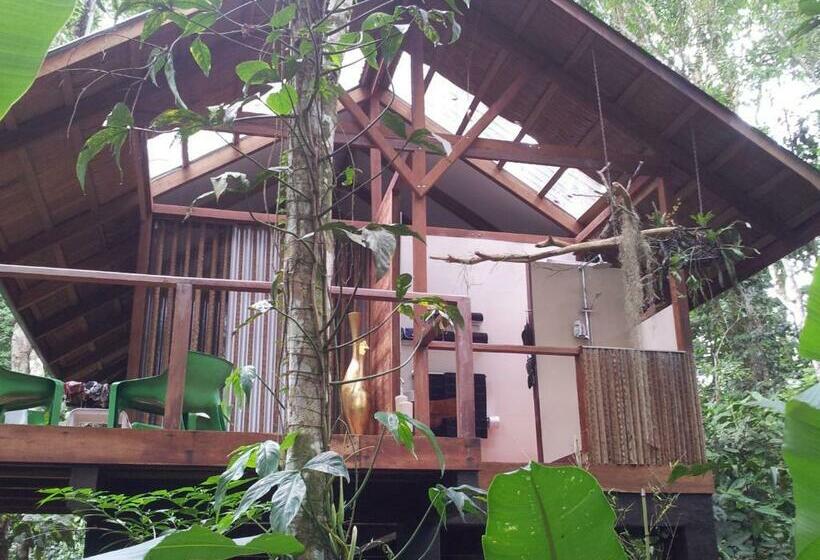 수피리어 방갈로, Mar Verde Lodge