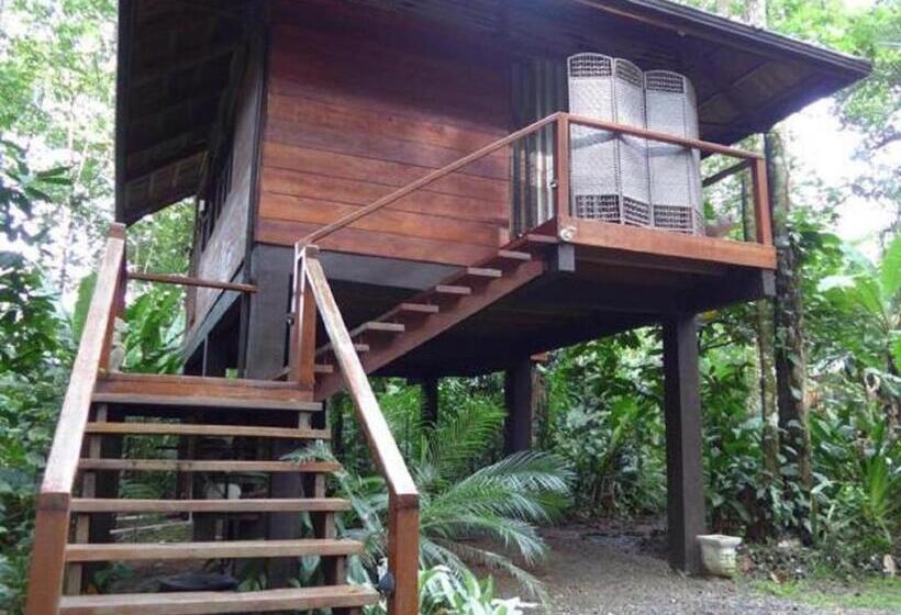 בקתה סופריור, Mar Verde Lodge