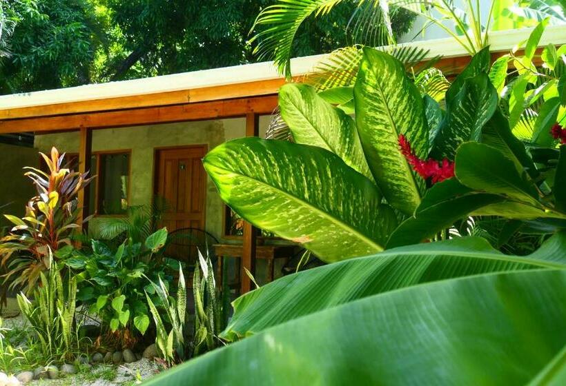 4인용 스탠다드 룸, Cabinas Playa Surf Hostel