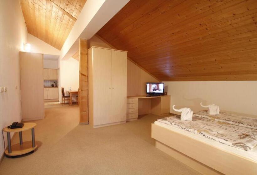 침실 1개 발코니 아파트, Cafe Hanfstingl