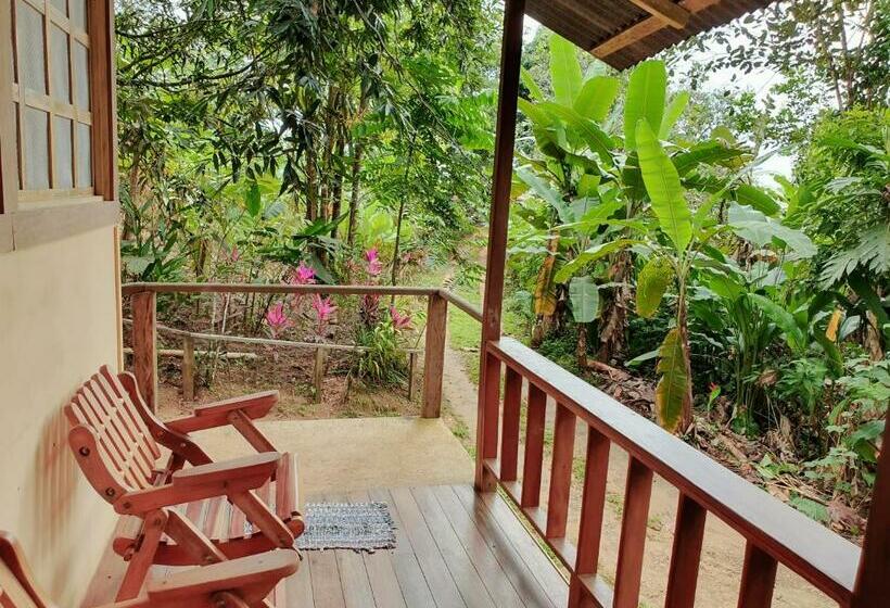 带花园景观的标准洋房, Casa Horizontes Corcovado