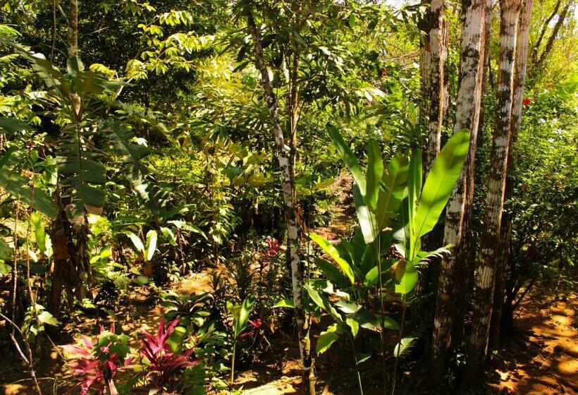 带花园景观的标准洋房, Casa Horizontes Corcovado