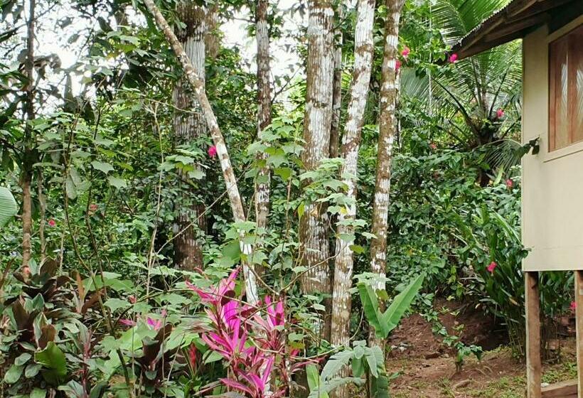 带花园景观的标准洋房, Casa Horizontes Corcovado