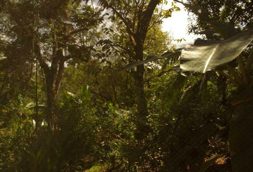 带花园景观的标准洋房, Casa Horizontes Corcovado