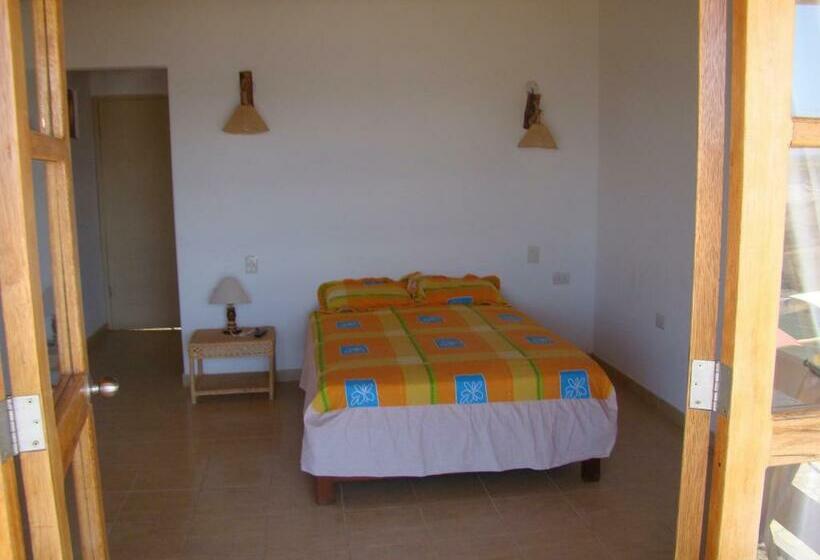 اتاق استاندارد, El Gran Velero