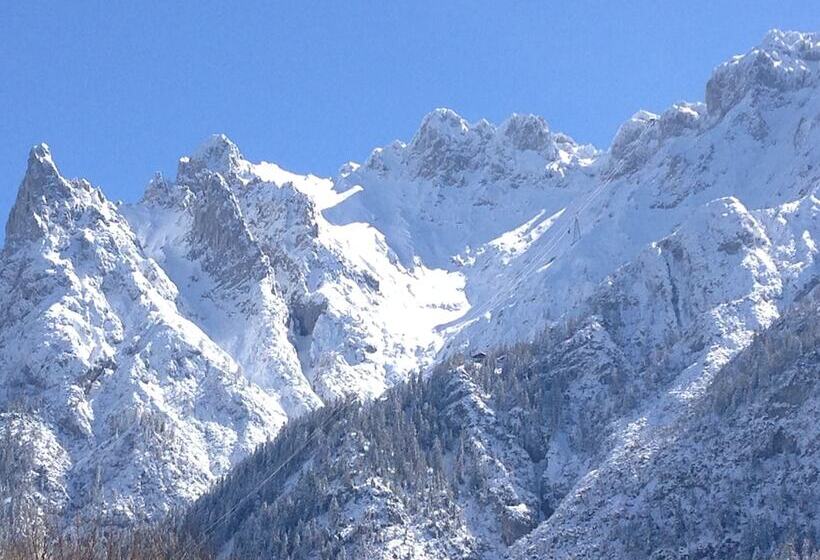 غرفة كومفورت فردية, Franziska