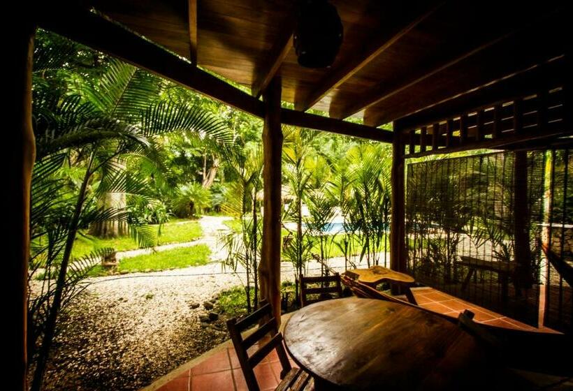 استودیو استاندارد با چشمانداز استخر, Pacifica Surf Studios