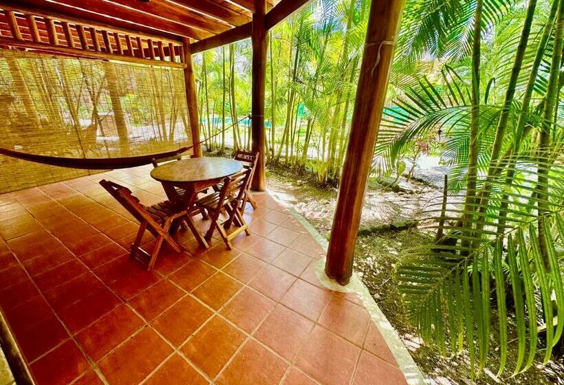 استودیو استاندارد با چشمانداز استخر, Pacifica Surf Studios