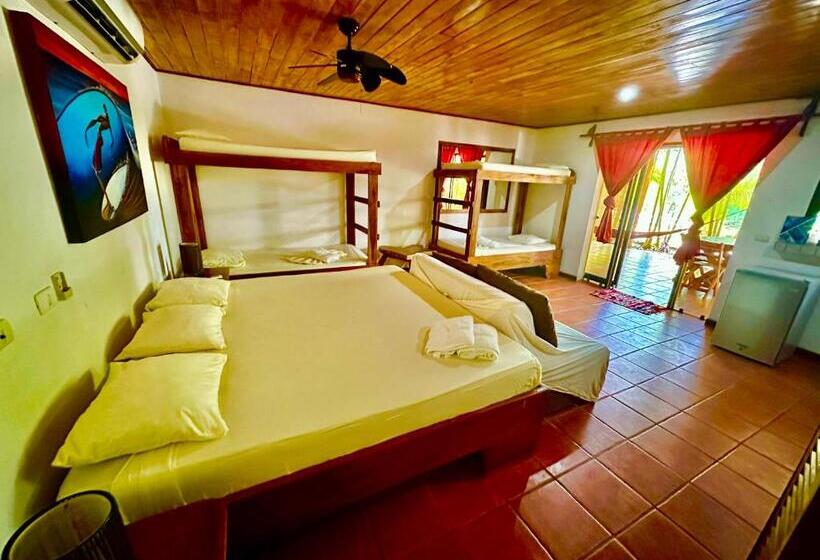 استودیو استاندارد با چشمانداز استخر, Pacifica Surf Studios