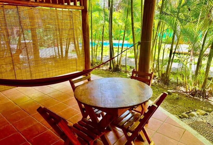 استودیو استاندارد با چشمانداز استخر, Pacifica Surf Studios