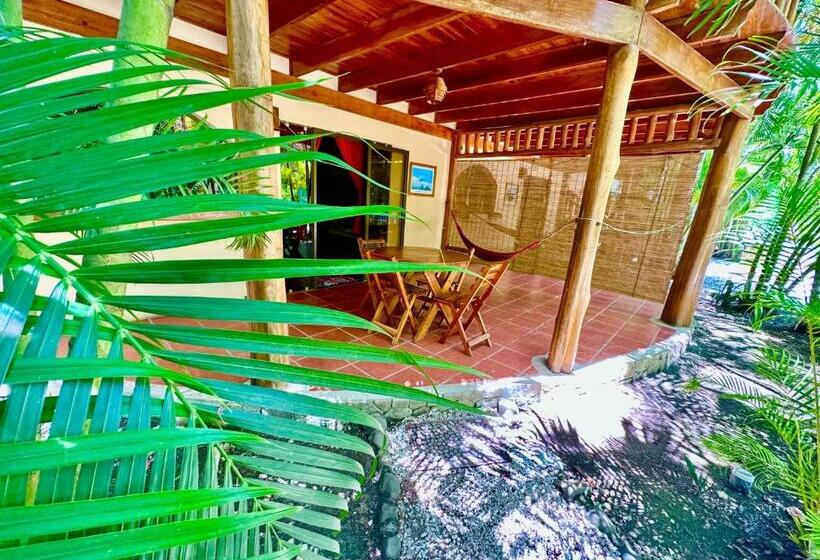 استودیو استاندارد با چشمانداز استخر, Pacifica Surf Studios