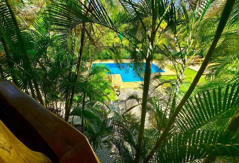 استودیو استاندارد با بالکن, Pacifica Surf Studios