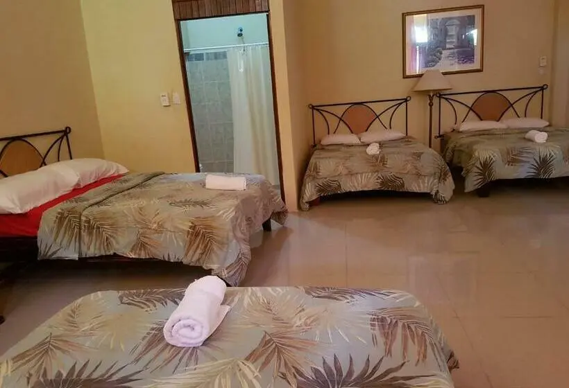 اتاق خانوادگی, Loft Pacifico