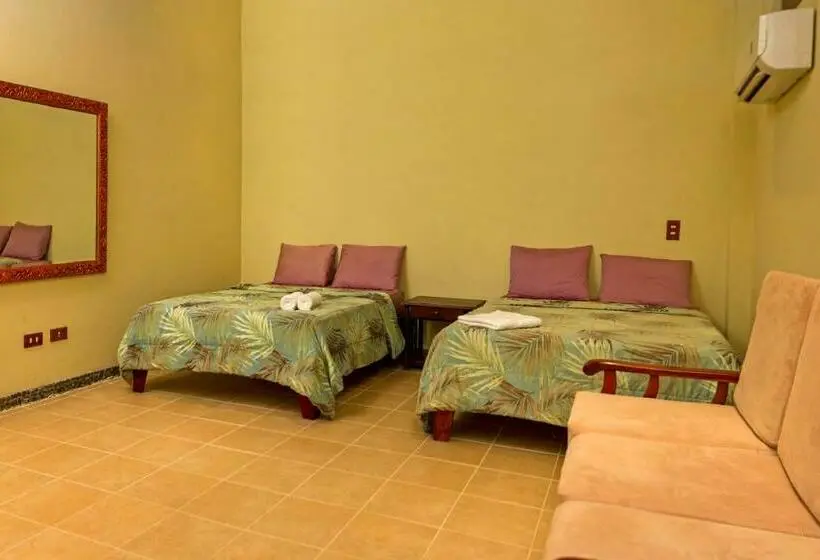 اتاق خانوادگی, Loft Pacifico