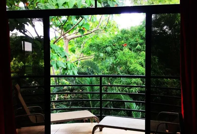 اتاق استاندارد, Loft Pacifico
