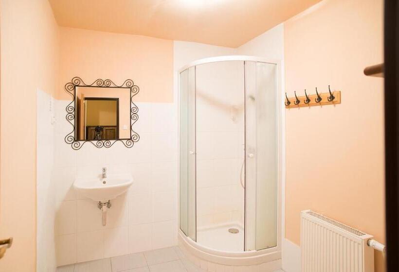 חדר סטנדרט לארבעה, Plesivec