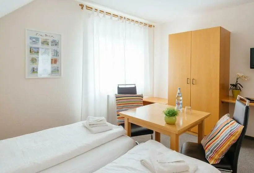 Standard Yhden Hengen Huone, Rhönhof