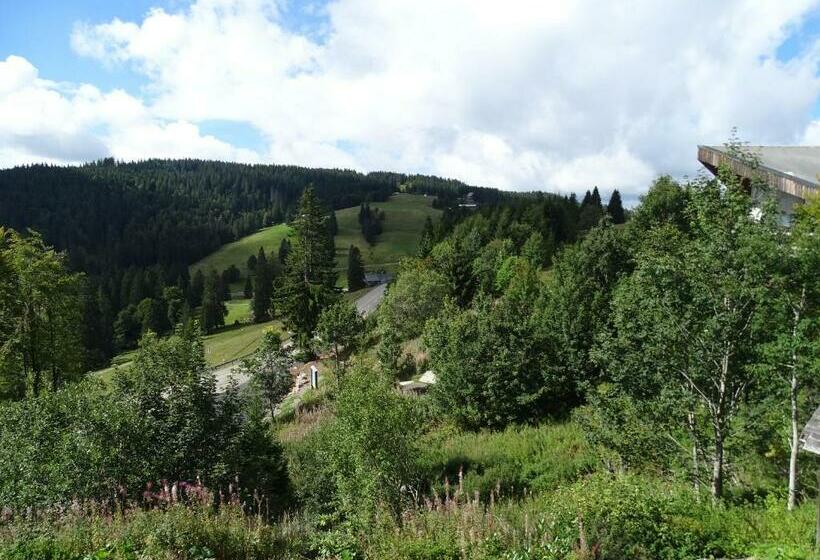 Standart Oda, S Jägermatt