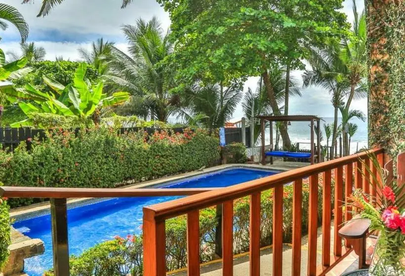 スタンダード４人部屋, The Backyard Beachfront