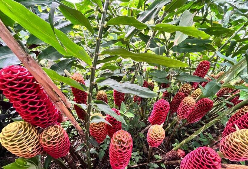 غرفة عائلية, Villas De La Colina