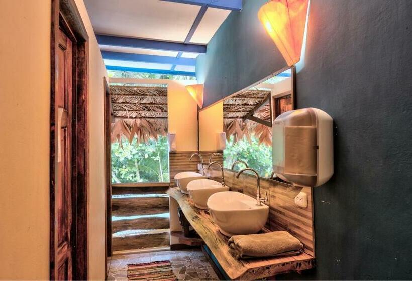 스탠다드 룸 공동 욕실, Playa 506 Beachfront Hostel