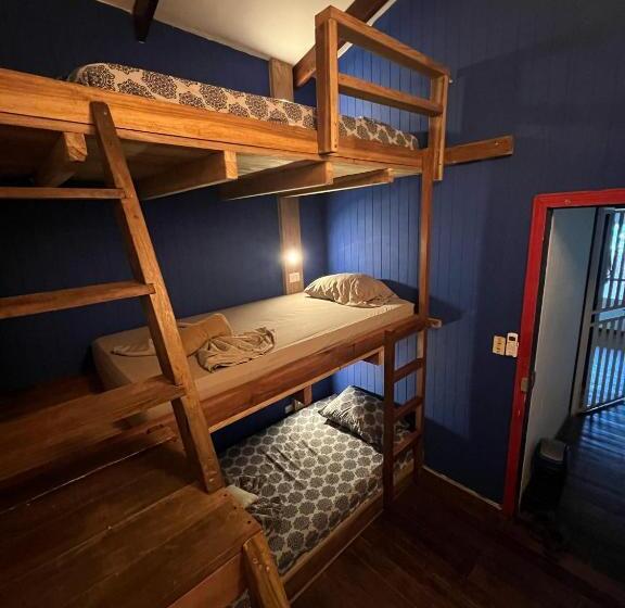 스탠다드 트리픔 룸 공동욕실, Playa 506 Beachfront Hostel