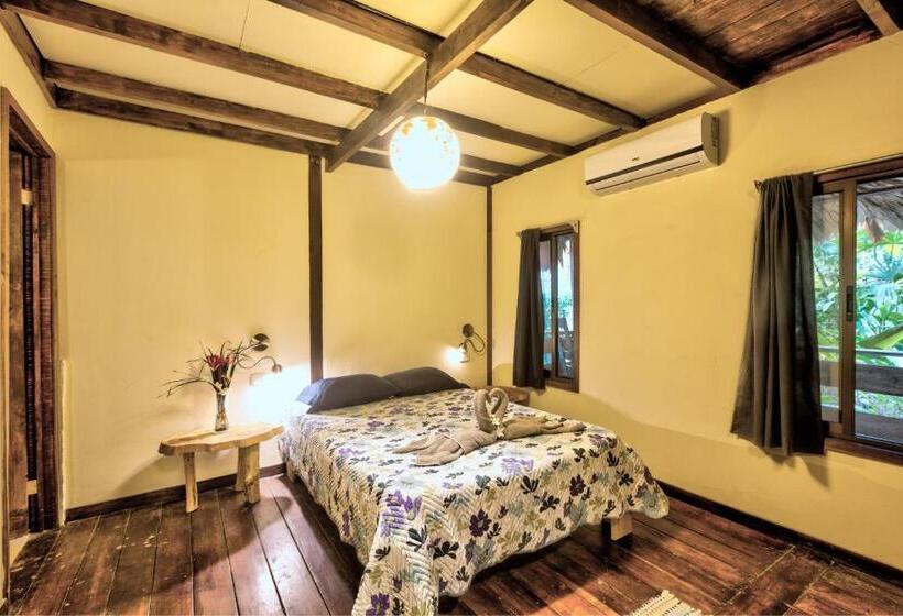 주니어 스위트 발코니, Playa 506 Beachfront Hostel