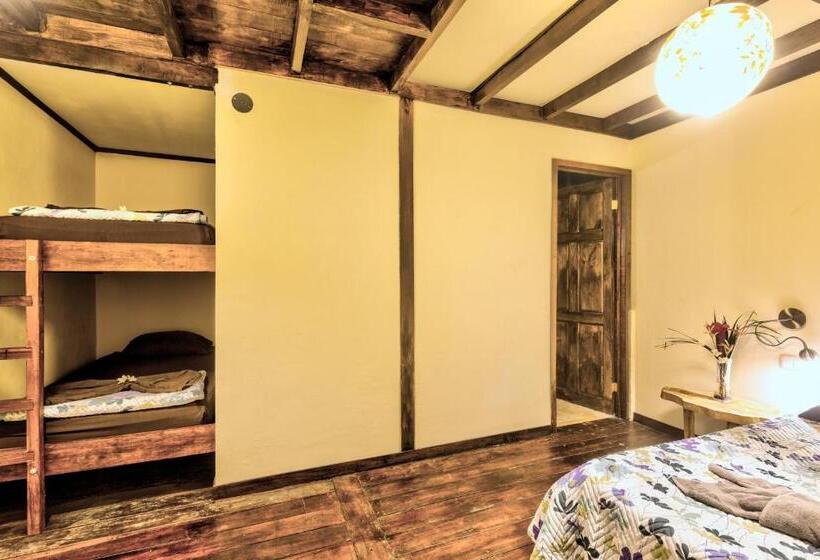 주니어 스위트 발코니, Playa 506 Beachfront Hostel