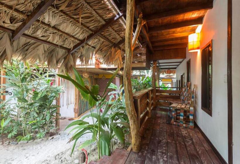 주니어 스위트 발코니, Playa 506 Beachfront Hostel