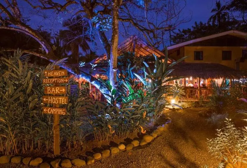 اتاق پایه با سرویس بهداشتی مشترک, Playa 506 Beachfront Hostel