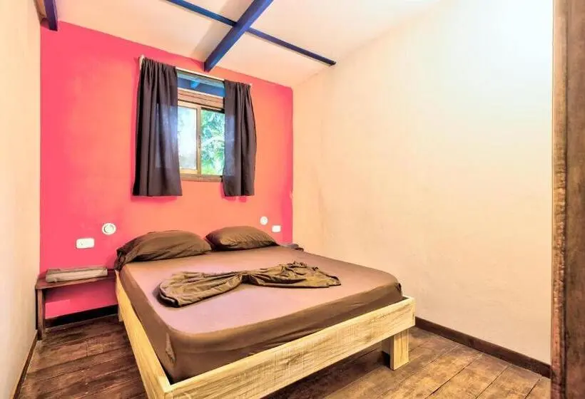 اتاق پایه با سرویس بهداشتی مشترک, Playa 506 Beachfront Hostel
